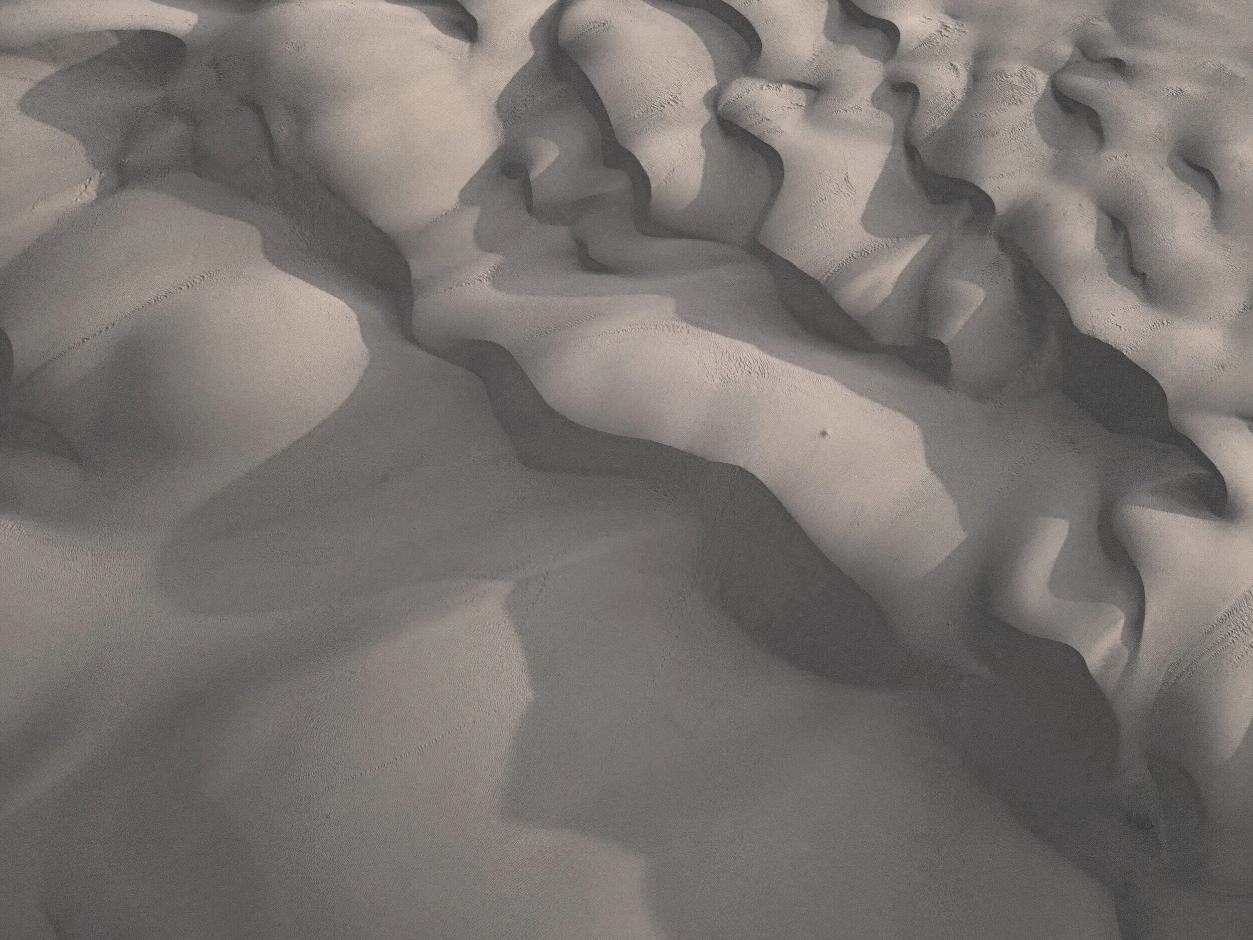 Windswept dunes